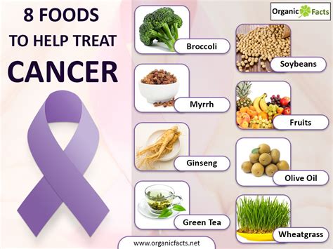 How To Prevent Cancer Through Diet Cancerwalls