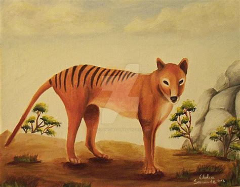 Thylacine By Cloudinetibaut On Deviantart