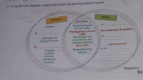 using the venn diagram compare the female and male reproductive system brainly ph