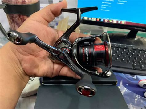 Shimano Vs Daiwa Fishing Reel Comparison All Fishing Gear