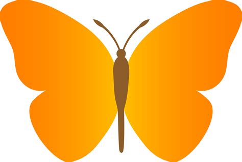 Simple Butterfly Clipart At Getdrawings Free Download