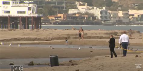 Body Found In Floating Barrel In Malibu Beach Finally Identified — He Was A Singer Songwriter