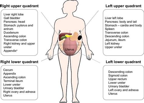 Symptoms Upper Right Quadrant Pain Endpreeclampsia