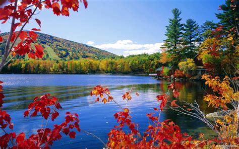 Download Hd Landscape Red Leaves On Calm Lake Wallpaper