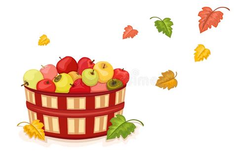 Autumn Harvest With Apples In Basket Stock Photos Image 15612013