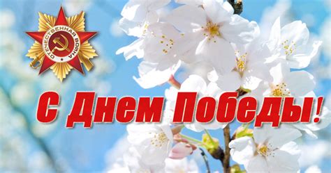 И отправьте их в смс или поздравьте лично. С Днем Победы!