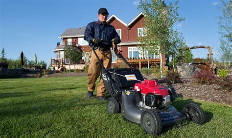 A good yard will have some degree of order such as types of mowers grouped together. Lawn Mower Repair Parts Store Near Me