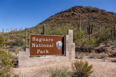 Saguaro National Park — The Greatest American Road Trip