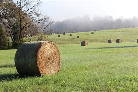 Hay Bales In A Missouri Field At Sunrise Photograph By Adam Long Fine