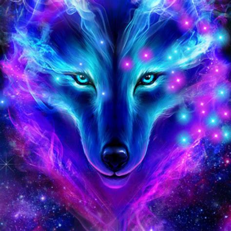 Galaxy Wolf Pic Galaxy Wolf Rainbow Wallpapers Cave Experisets