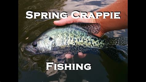 Spring Crappie Fishing Youtube