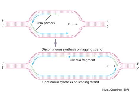 Continuous And Discontinuous Synthesis