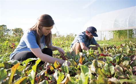 Sustainable Agriculture Project accepting research ...