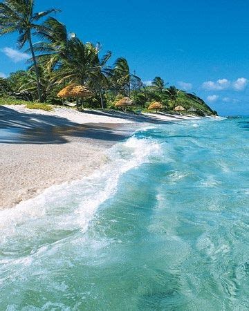 You'll find the capital city of kingstown on the southern side of st vincent, which is also. St. Vincent Island. The water is beautiful | Beach ...