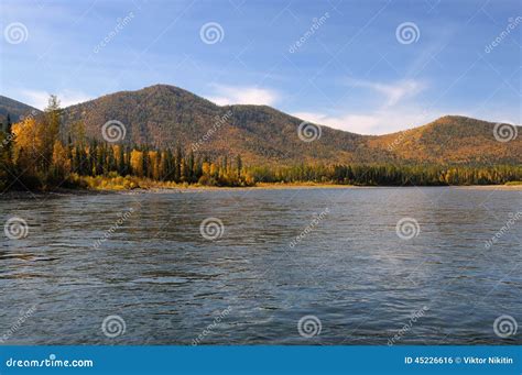 Taiga River In Eastern Siberia Stock Photo Image Of Trees Ripples