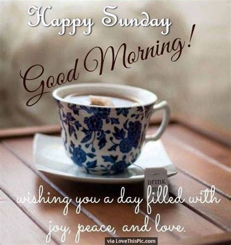 A Happy Sunday Morning To You