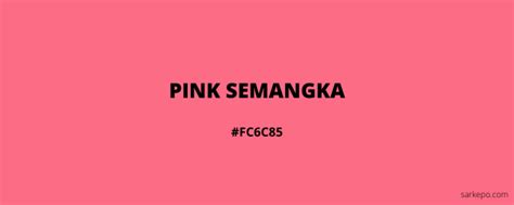 45+ Macam-Macam Warna Pink Beserta Penjelasan Lengkap
