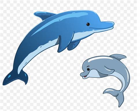 Vector Graphics Dolphin Stock Photography Image Illustration Png