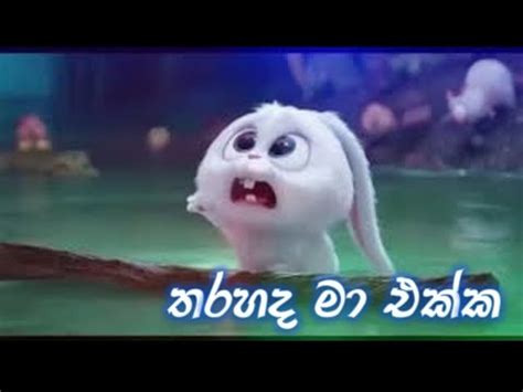 Download lagu ma ekka sansare 2.11mb dan streaming kumpulan lagu ma ekka sansare 2.11mb mp3 terbaru di metrolagu dan nikmati, video klip usahakan kalian download sebagai review saja, belilah cd original atau kalian beli secara online seperti di itunes untuk mendukung semua artis agar. Tharahaida Ma Ekka (තරහයද ම එකක) - Snowball (හිම බෝලේ ...