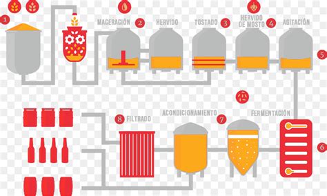 A nivel industrial, distintas cepas de s. La Cerveza, La Elaboración De La Cerveza De Los Granos De ...