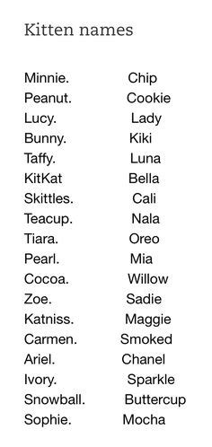 What are some famous female cat names? Cat Name Ideas for Female Cats | Cat Infographics and ...