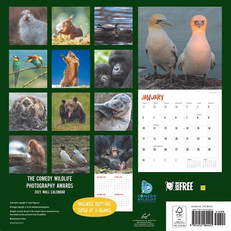 Comedy Wildlife 2021 Calendar Wildlife Aestetic 2021