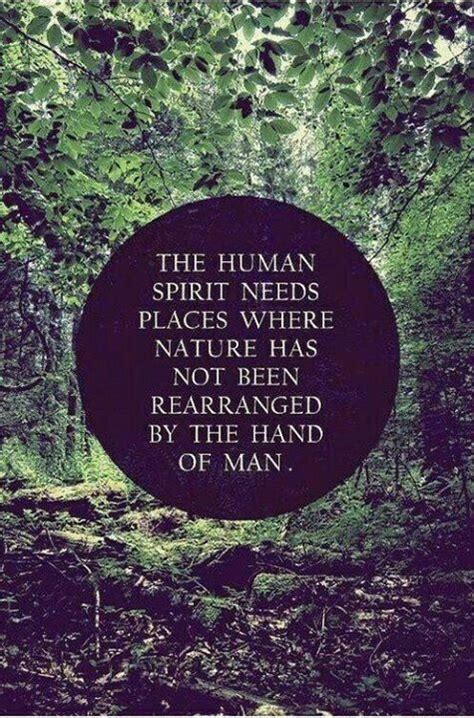 10+ images about Inspirational Nature Quotes on Pinterest ...