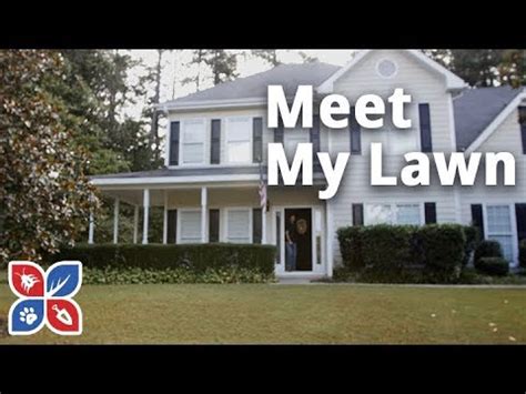 If grubs have damaged your lawn in previous years, you know how devastating it can be. Do My Own Lawn Care - Episode 1 - Meet My Lawn - YouTube