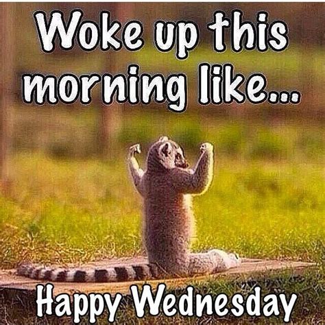 Perfect for friends & family to wish them a happy birthday on their special day. Happy Wednesday! #HuMpDay | Good morning wednesday, Funny ...