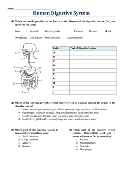 Digestive system answers / gizmo may 17, 2021student exploration digestive system gizmo answer key mcleodgaming. harvey1993 - Profile - TES