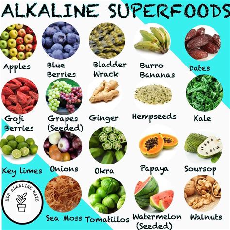 Alkaline Protein