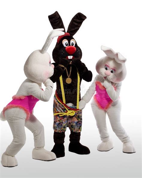 Playboy Bunny Costume Stock Photos Free Royalty Free Stock