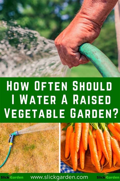 How Often And When To Water Your Vegetable Garden Easy Backyard