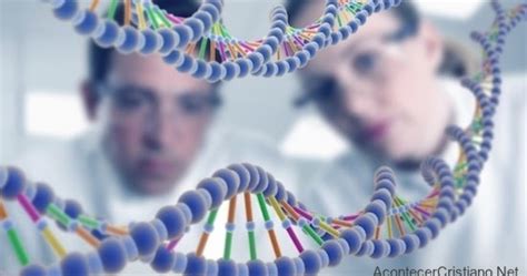 Científicos Dicen Que La Homosexualidad No Es Causada Por Los Genes