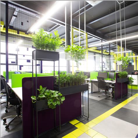 Enhancing Workplace Productivity And Wellbeing The Power Of Biophilic