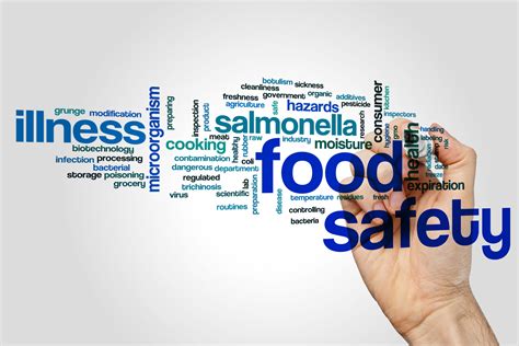 Food Safety Level 2 Course The Training Terminal