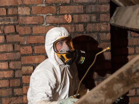 Starting out in the pest control industry with bpca. About The Bristol Pest Controller | The Bristol Pest ...