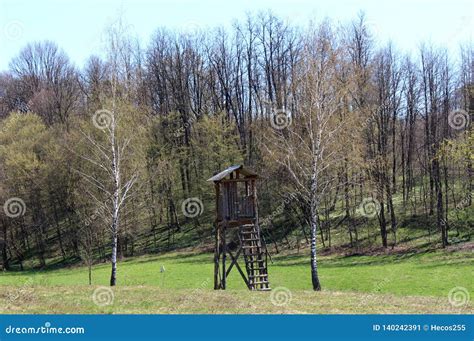 Improvised Old Hunting Lookout Tower Made Of Wood Surrounded With Grass