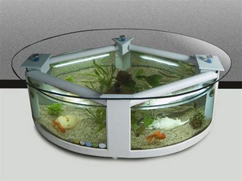 Benefits of coffee table aquariums and how to choose the right ones of course, being a fish tank, coffee table tanks have the general benefits of keeping fish. Fish Tank Coffee Table Design Images Photos Pictures