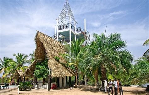 Makasutu Cultural Forest Building Futures In The Gambia