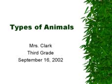 Types of Animals Lesson Plan for 3rd Grade | Lesson Planet