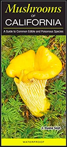 Mushrooms Of California A Guide To Common Edible And