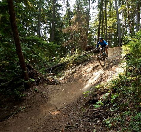 Getting Stoked In Revelstoke A Guide To The Best Mountain Bike Trails