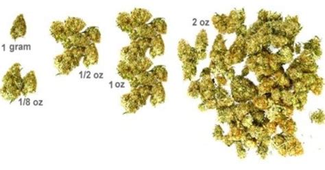 Convert 8 oz to g. How much is a qp of weed in grams MISHKANET.COM