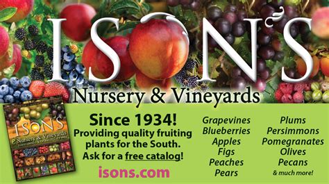 Maybe you would like to learn more about one of these? The Tradition of Ison's - Ison's Nursery & Vineyard