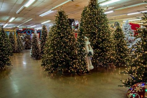 2016 Christmas Photos – Decorators Warehouse  Christmas photos