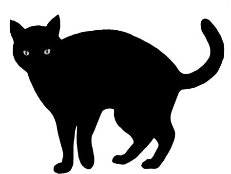 Black Cat Drawing Silhouette Cat Png Download 768884 Free