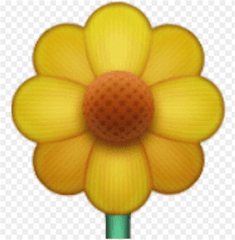 74 Iphone Flower Emoji Png Download 4kpng