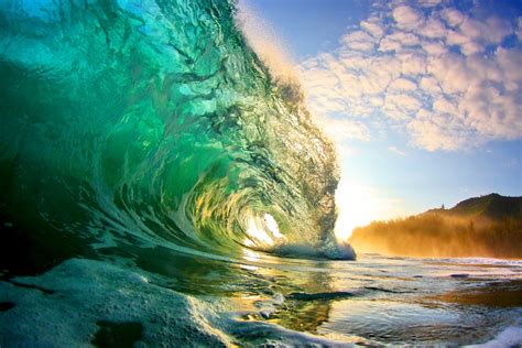 Tropical Beach Hills Ocean Palm Tree Waves Photos