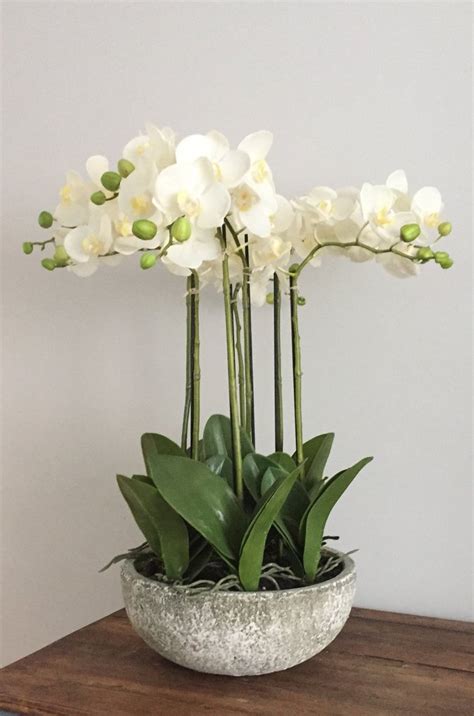 Shop in complete confidence, secure online. Luxury Large Artificial Orchid Arrangement In Pot - White ...